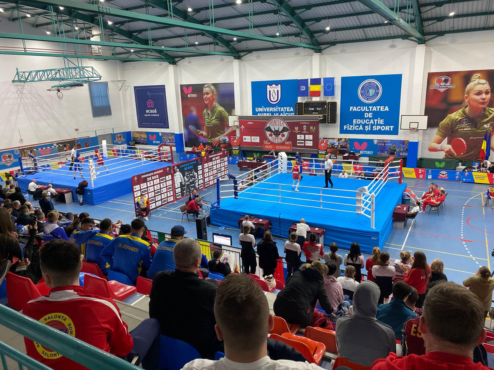 Azərbaycan boksçusu Rumıniyada erməni rəqibinə qalib gəlib