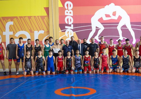 Azərbaycan Güləş Federasiyası Lənkəranda seminar keçirib