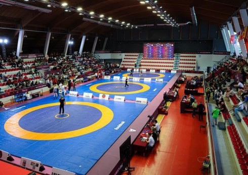 Azərbaycan güləşçiləri dünya çempionatına hazırlıqlarını davam etdirirlər