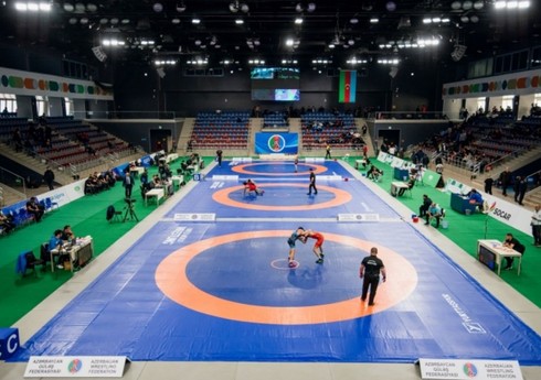 Azərbaycanın güləşçisi Avropa çempionatında qızıl medal qazanıb