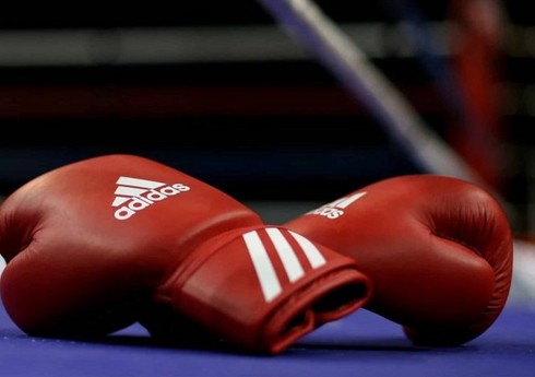 Bakıda boks üzrə kadetlər arasında zona birinciliyinin final mərhələsi start götürəcək