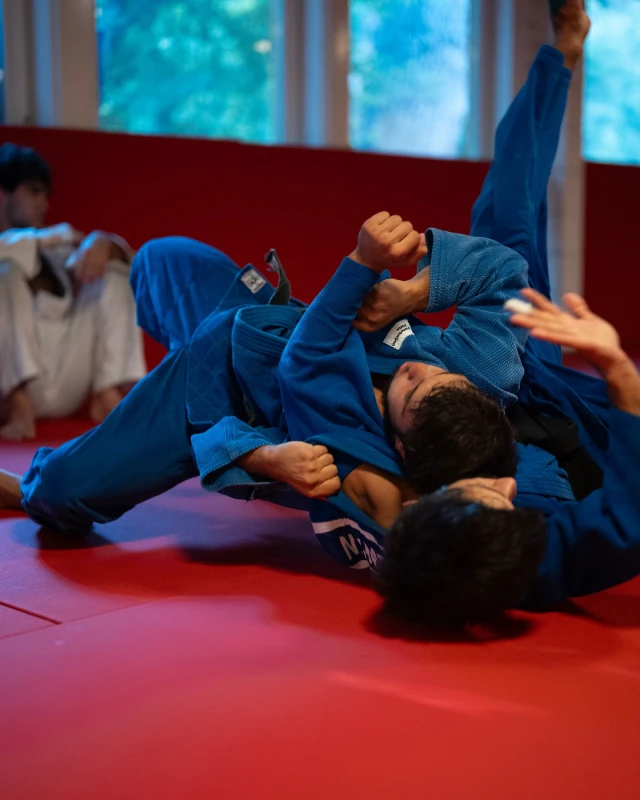 Cüdoçularımız təlim-məşq düşərgəsində iştirak edirlər