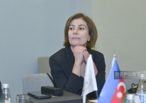 İlahə Qədimova yenidən Azərbaycan Şahmat Federasiyasının baş katibi seçilib