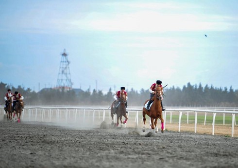 Milli Atçılıq Festivalında cıdır və yorğa yarışları keçirilib