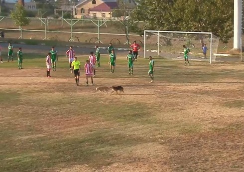 "Şəmkir" və "Kür-Araz" komandalarının oyununda kuryoz hadisə olub